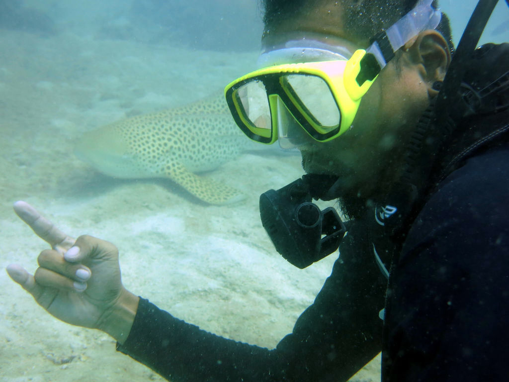 085a6f4b-d72c-45bb-87ba-ed1300a1ea95