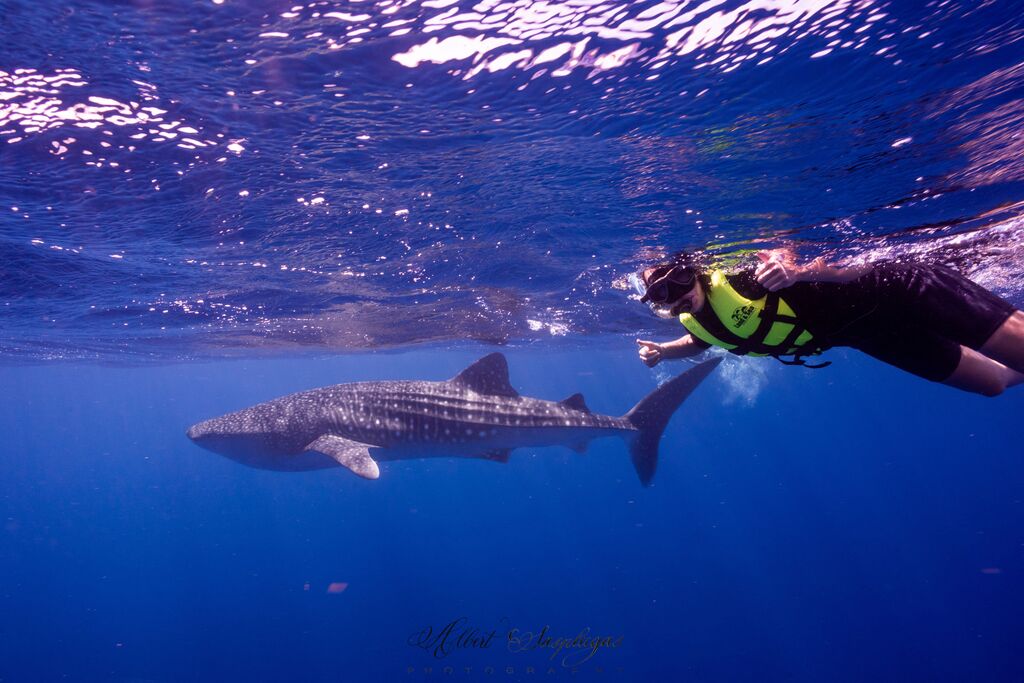 1f300775-1862-469d-a100-bf14eaf21411