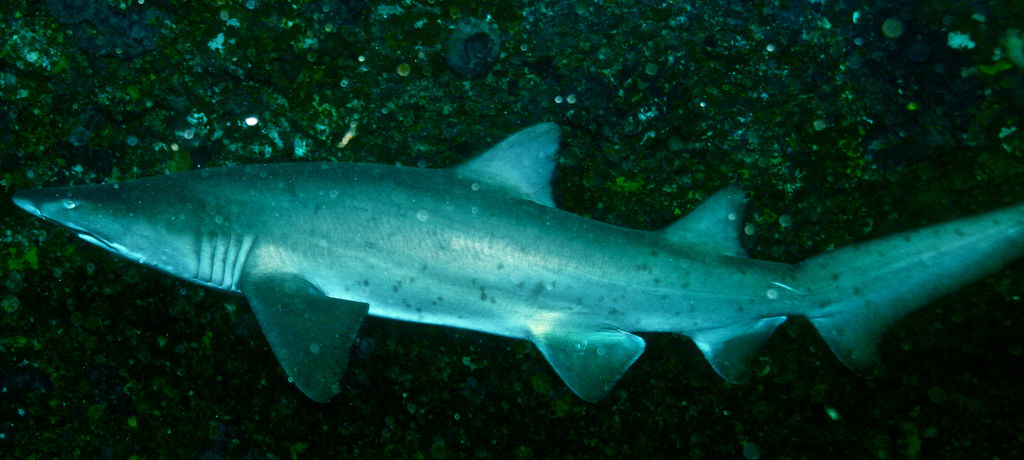 c3d18464-1bed-4c36-a419-ac255569f90f