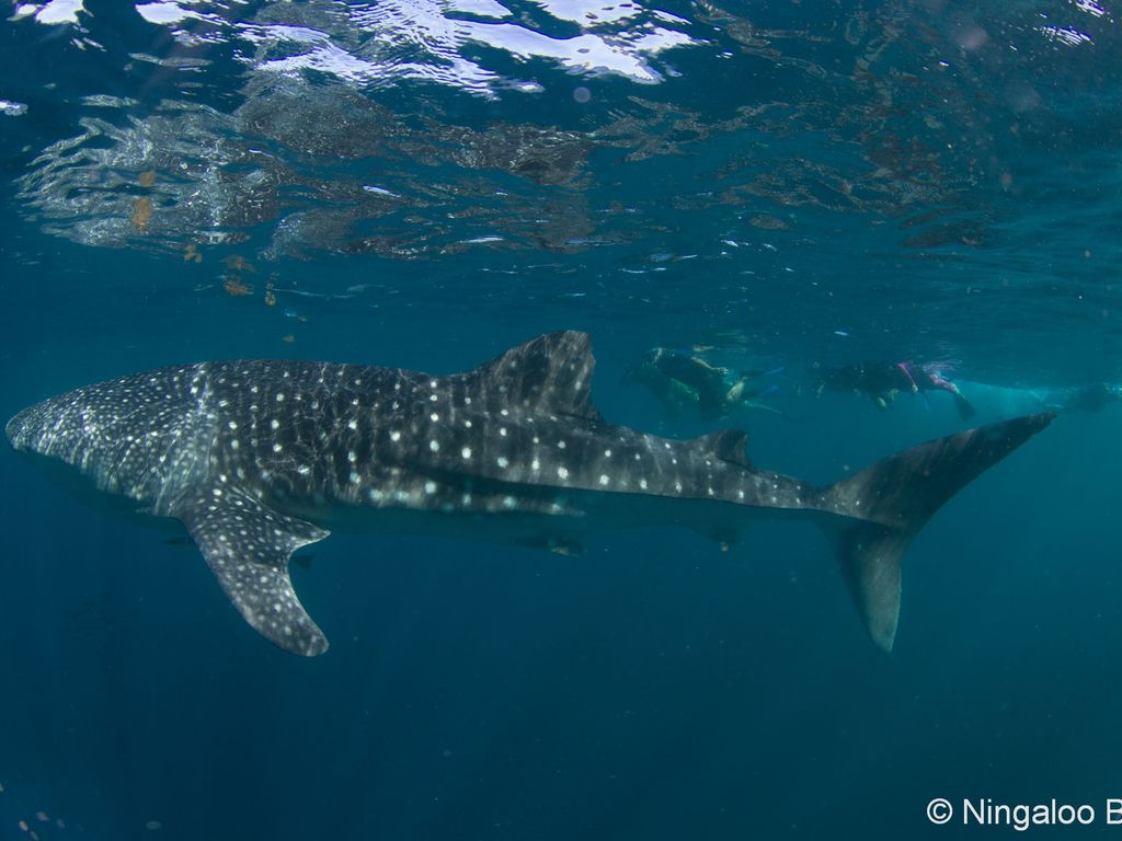 69956881-8e08-433a-b431-93c9fa6331be