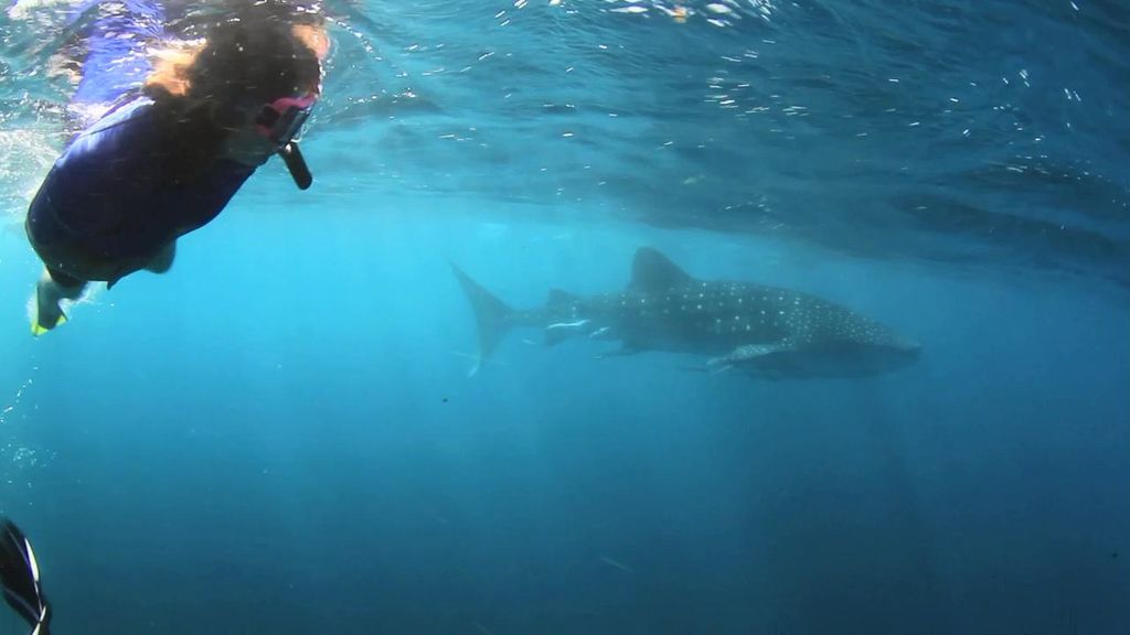 26d68302-a9a6-4683-9a2f-095e9f09af7e