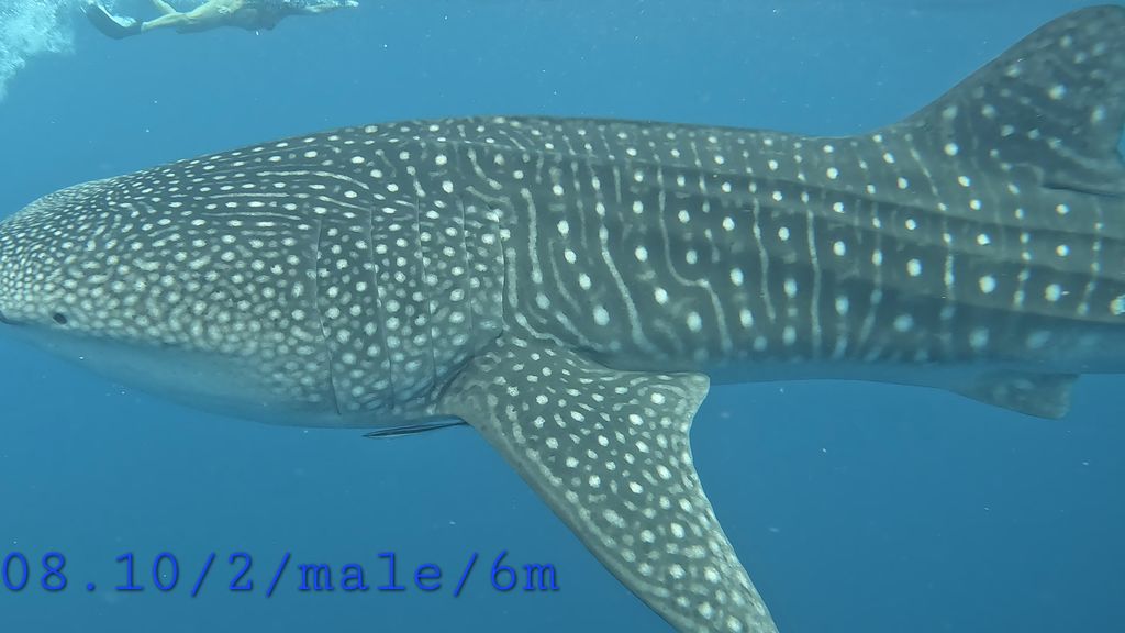 2eb77de9-1170-49a0-b6a2-5b97f72839bf