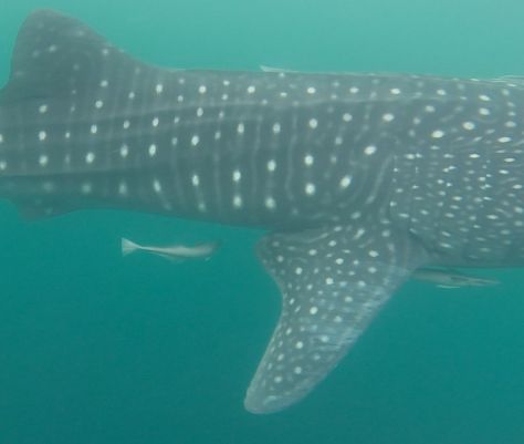 1f54dbc0-19f3-4259-9a6f-69d17b331f5a