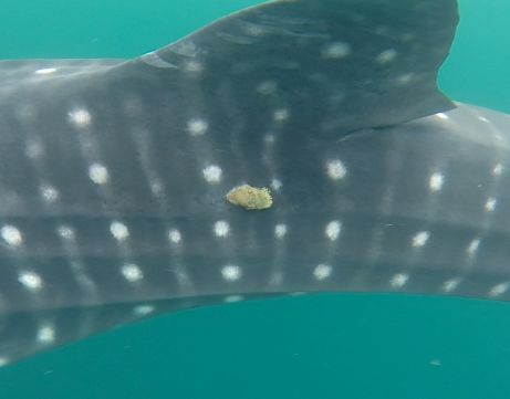 1f54dbc0-19f3-4259-9a6f-69d17b331f5a