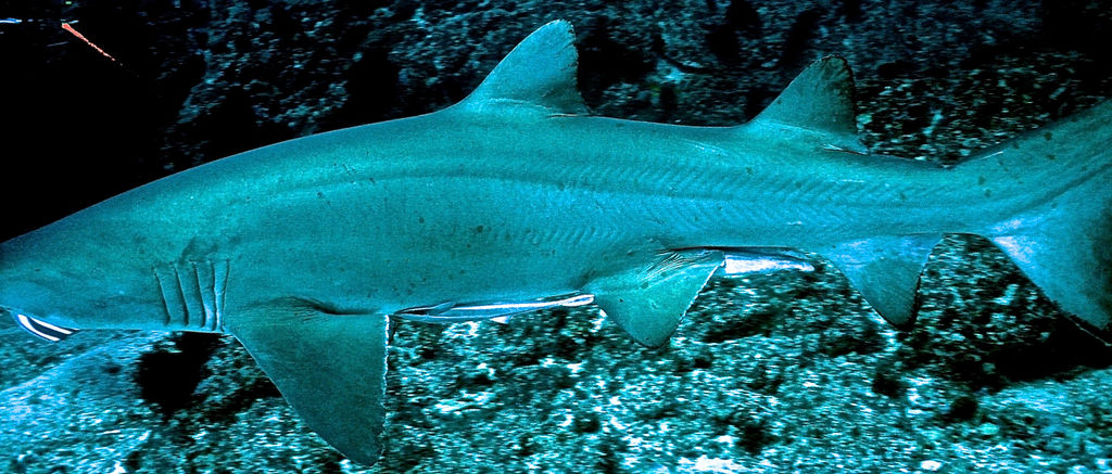 c54f87d4-03d0-4f51-92dc-da2c76e70be7