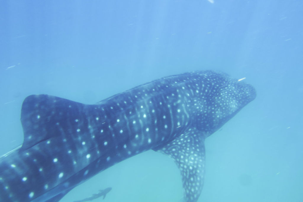 f3015d78-b0f5-4987-8ddf-ba0bbef28e63