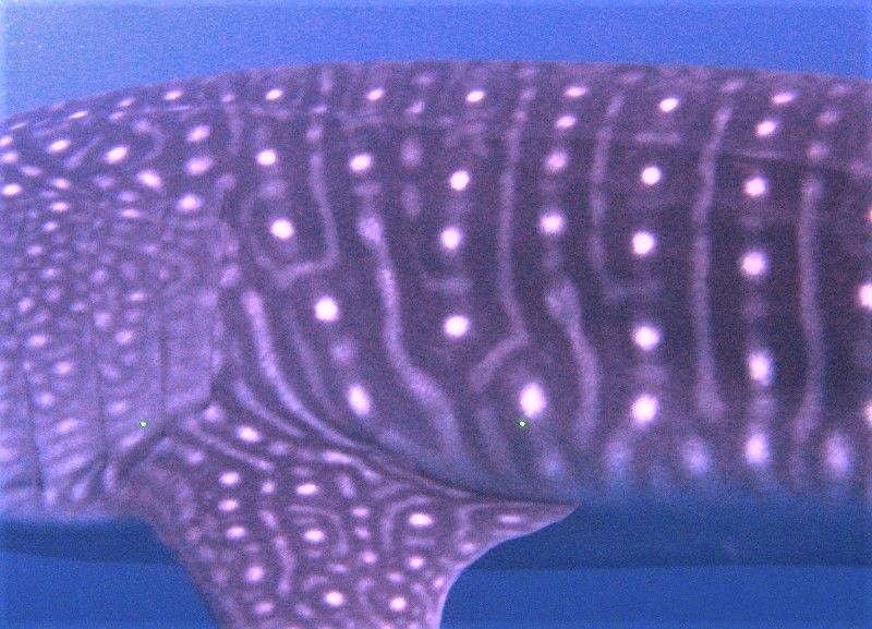 14274448-99cf-42e0-a88e-8c49bfc07749