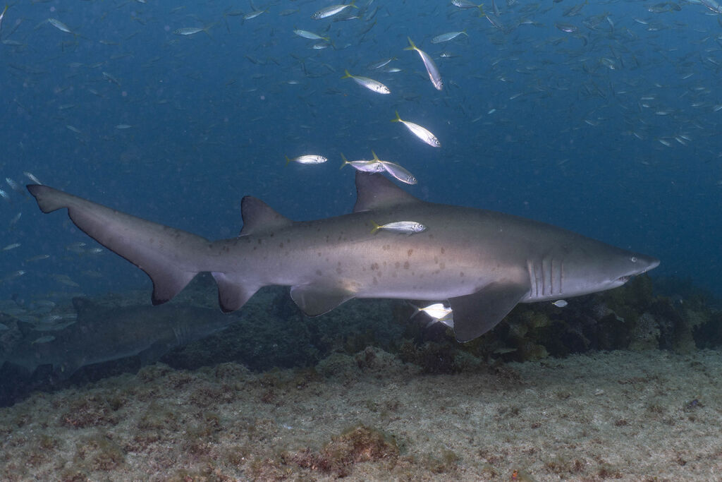 576b41e2-41dc-489d-8a64-5ecec65d719f