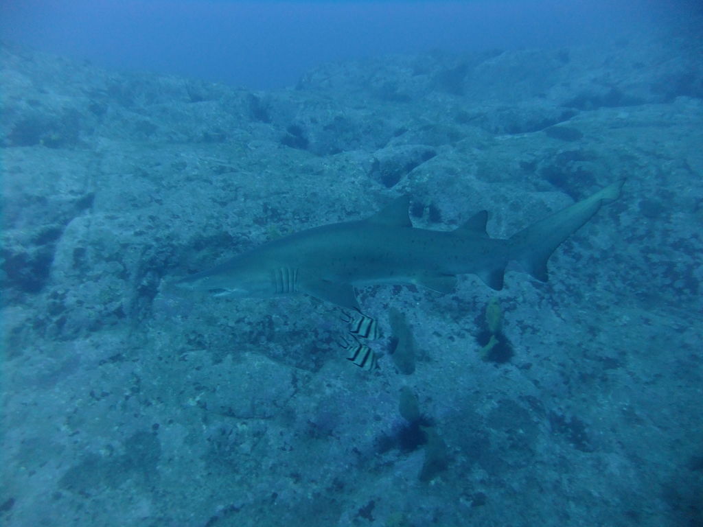 d0ff49c6-73c7-42bc-90a5-aef23a8edbf4