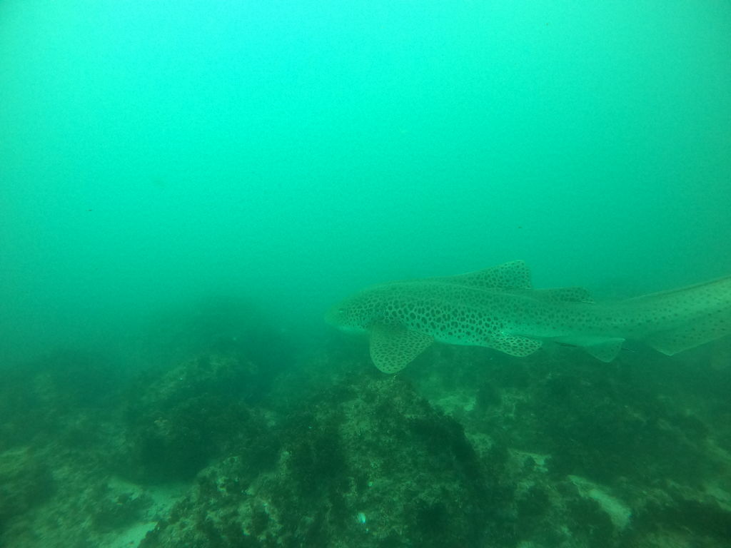 896fa302-dd60-4a22-b5e1-546efd7307f0