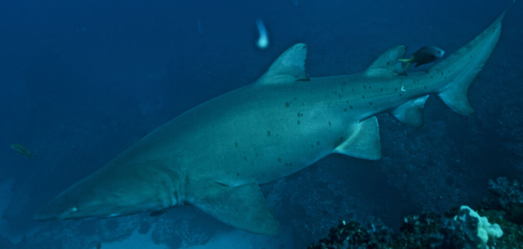 7291c306-98ed-4772-a9c8-38baf7110934