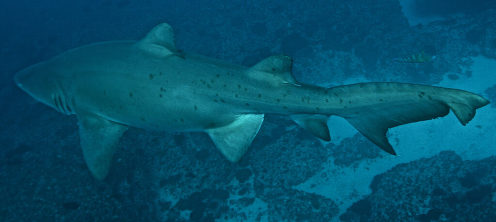 7291c306-98ed-4772-a9c8-38baf7110934