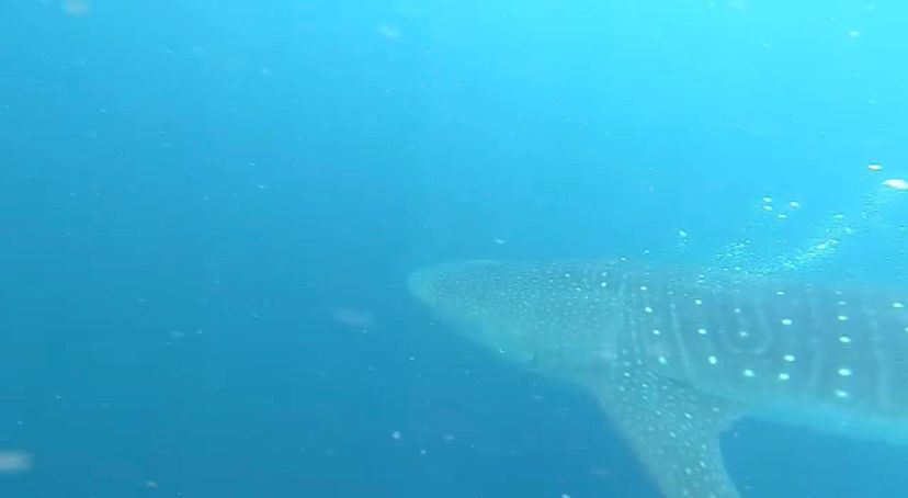 08f44416-ec8d-459d-85ec-4fc0c9ac8961