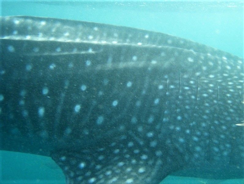 dc33926d-4872-487a-b441-9cc53de1c370