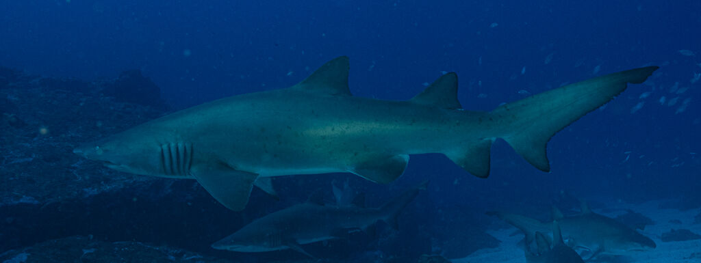 96d49936-afa2-4ddb-b9df-7ad0c3109f92