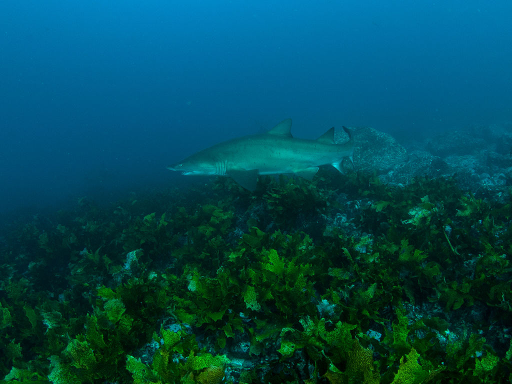 f086a46f-a2d6-4cf1-824e-600cde611e57