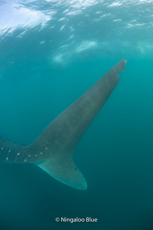 4e339ec2-59e7-4703-8966-695863d6323e