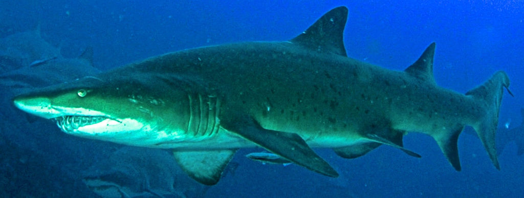 69fd7dc2-7b6f-455f-9dca-c9d8f68698e0