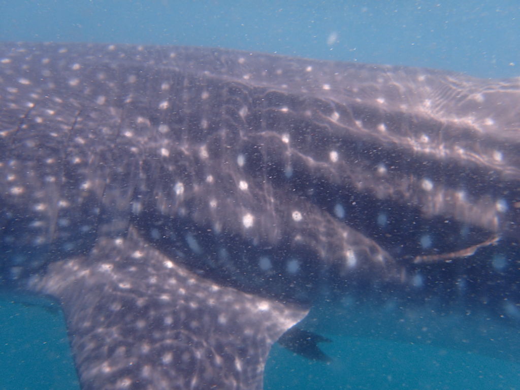 9ac6119a-c253-4a25-ac8e-aba77be6aa62