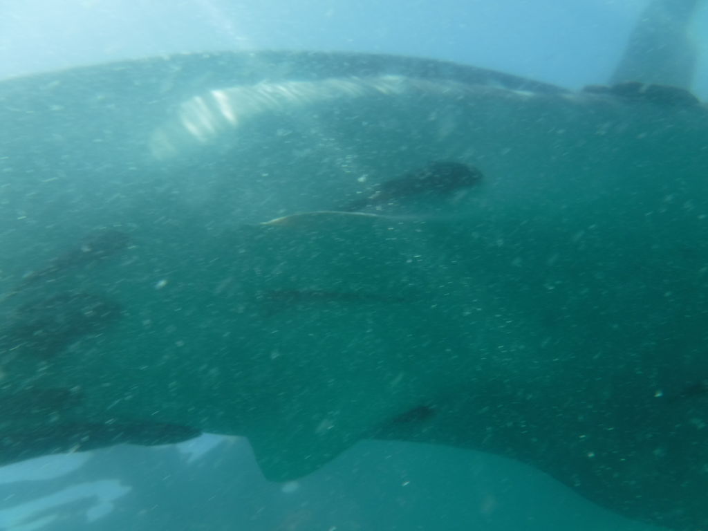 9ac6119a-c253-4a25-ac8e-aba77be6aa62