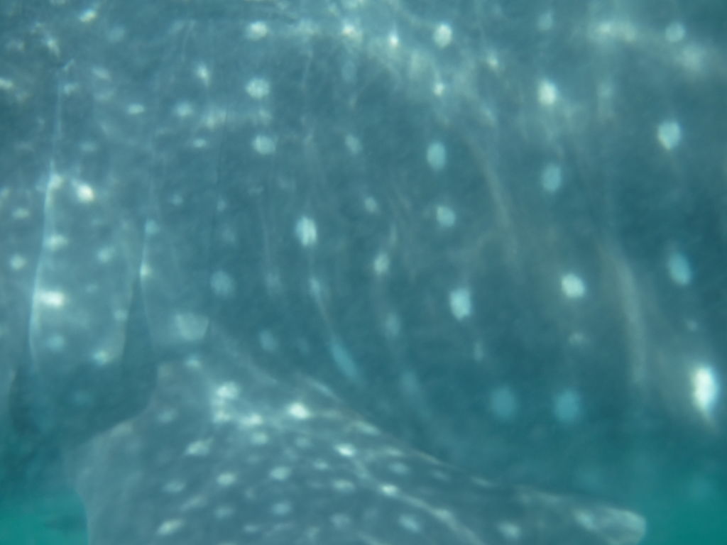 9ac6119a-c253-4a25-ac8e-aba77be6aa62