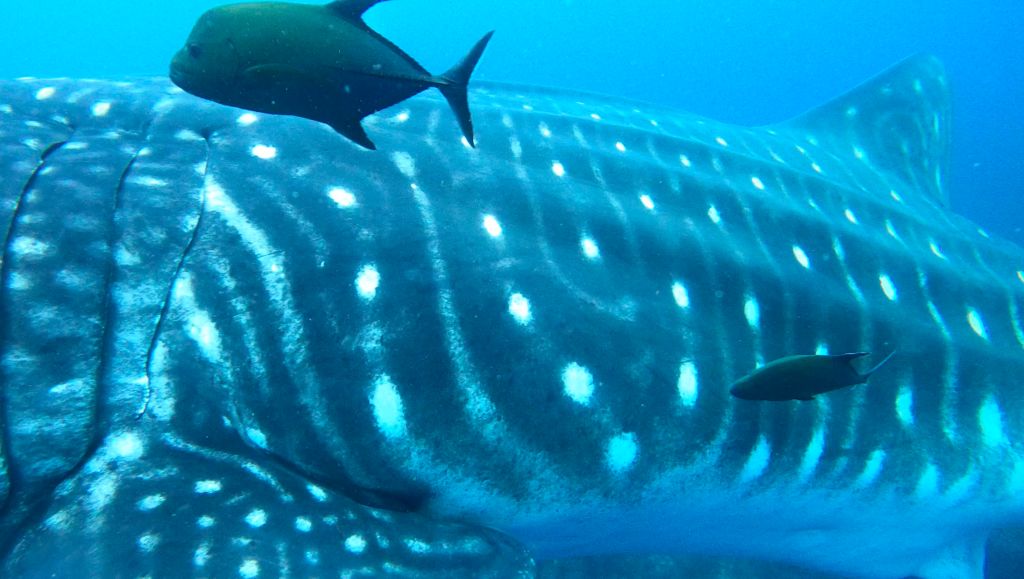 3404bc82-a6cb-4c81-8ac6-5ac4d3770468