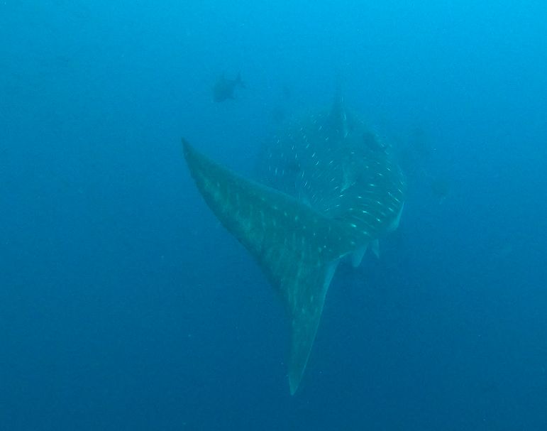 3404bc82-a6cb-4c81-8ac6-5ac4d3770468