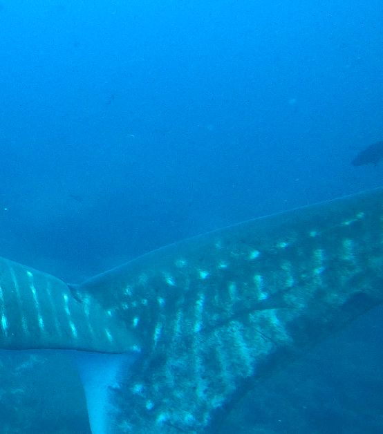 3404bc82-a6cb-4c81-8ac6-5ac4d3770468