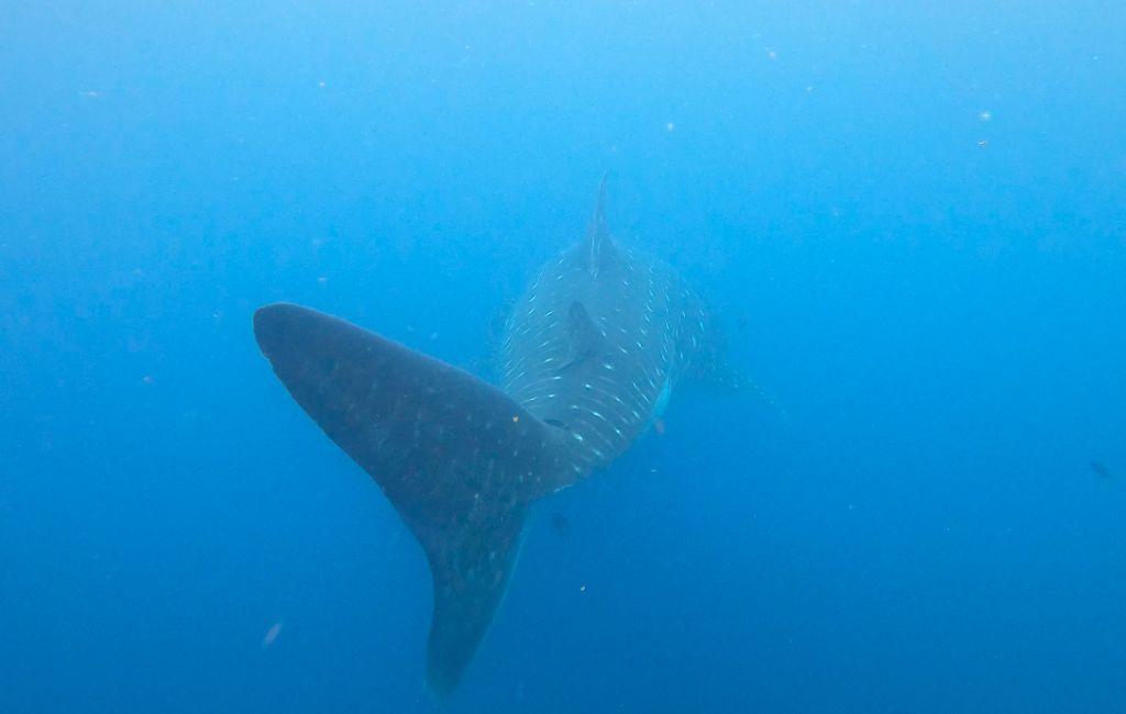 3404bc82-a6cb-4c81-8ac6-5ac4d3770468