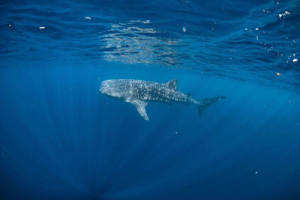 b1458ea6-fcb4-476b-af88-f108d6d93ac5