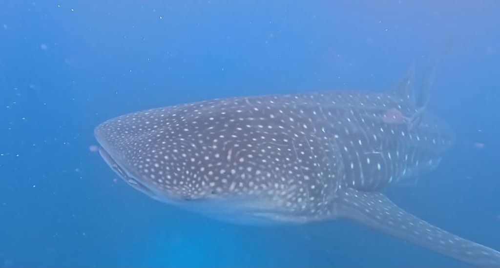 7ce9b0b6-bb83-4137-a7a1-70b57bfb37d7