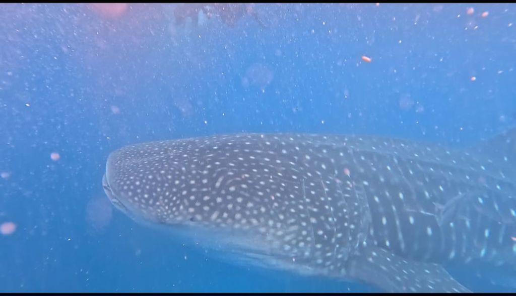 7ce9b0b6-bb83-4137-a7a1-70b57bfb37d7