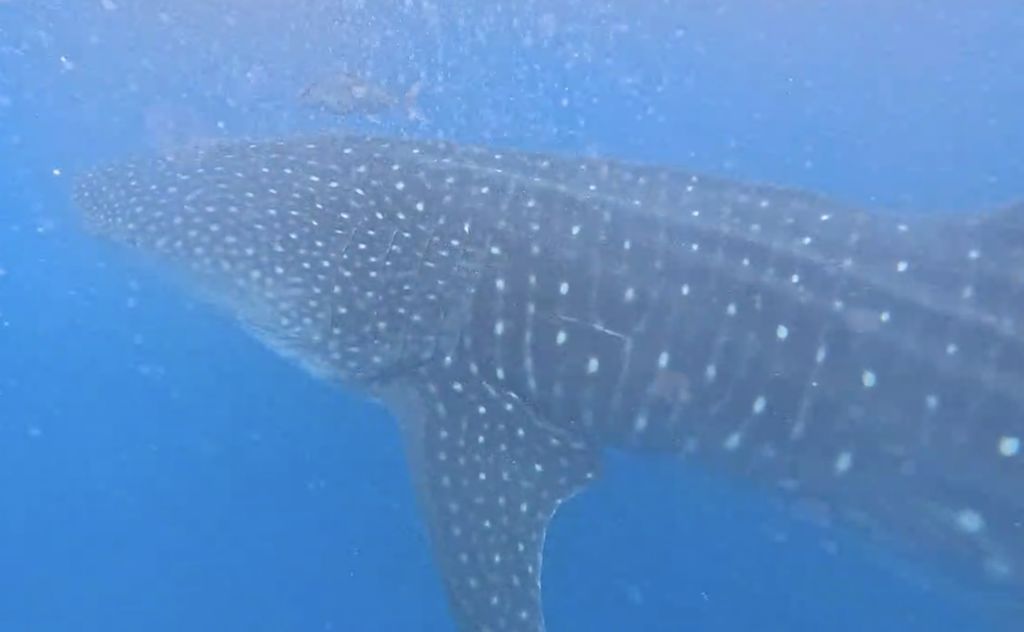 7ce9b0b6-bb83-4137-a7a1-70b57bfb37d7