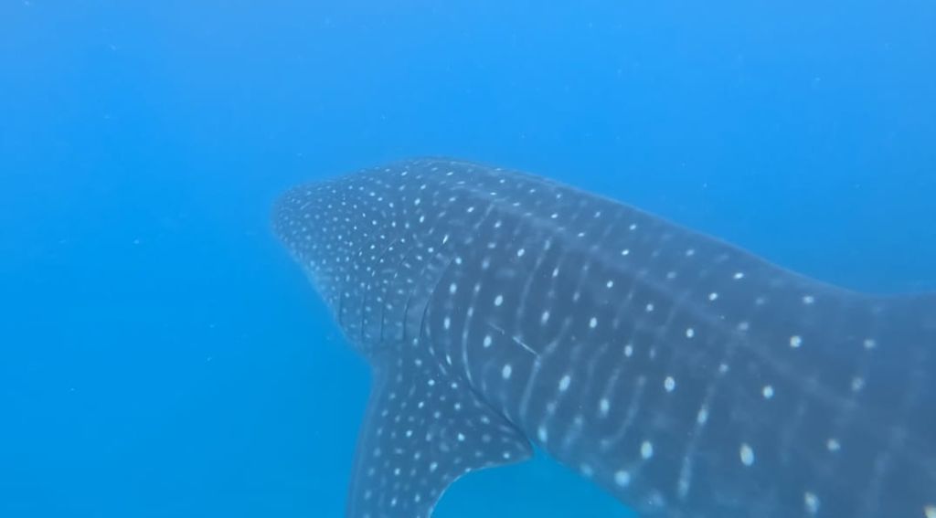 7ce9b0b6-bb83-4137-a7a1-70b57bfb37d7