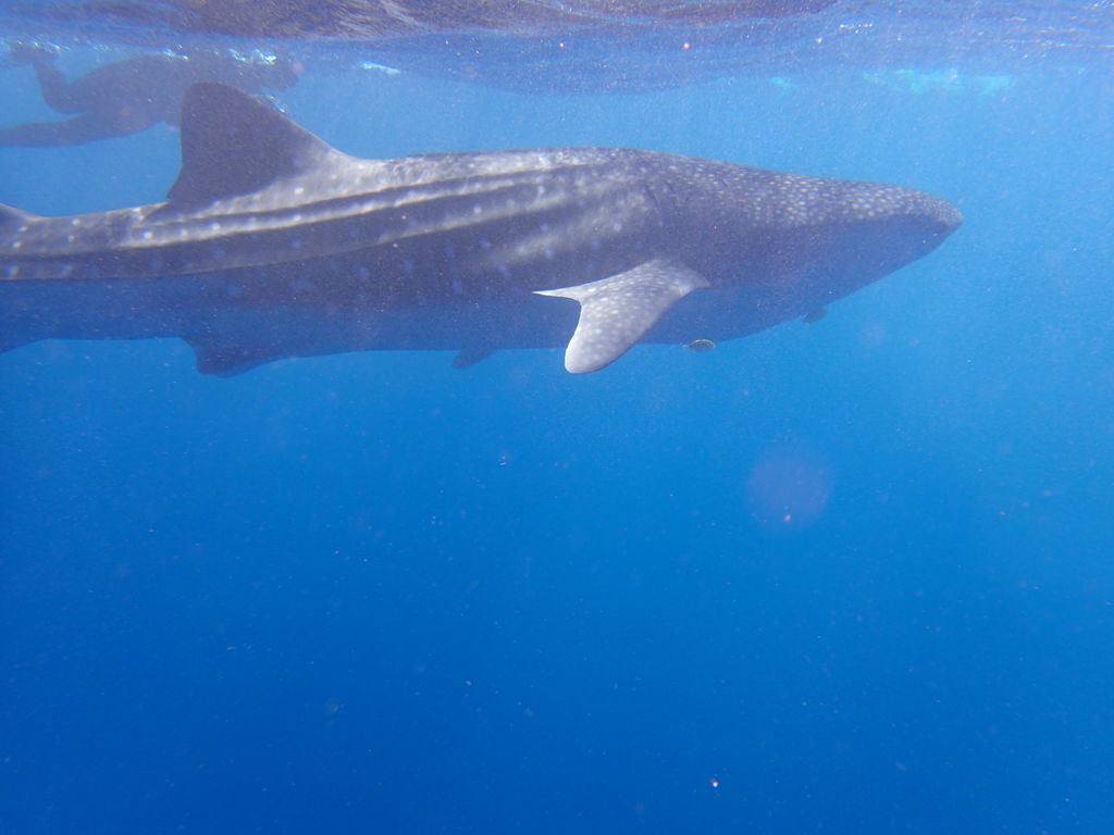 9220f584-bb47-4c68-970a-4355e05d83a6