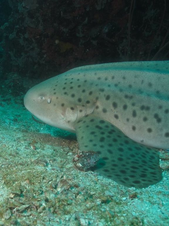 7d33f71c-8a22-453b-b54c-e34a3ad871a1