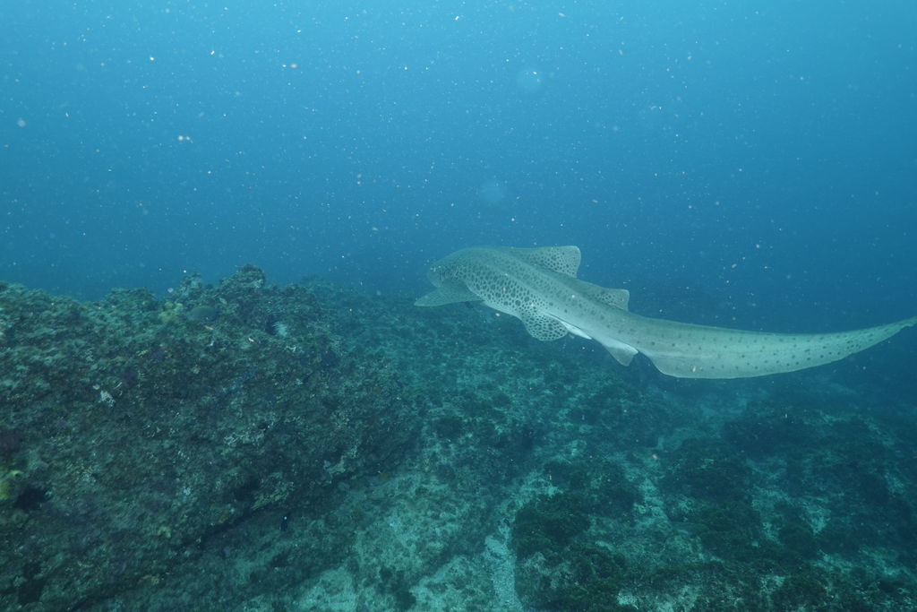 231922f7-11e3-4693-be73-e5438534ef9c