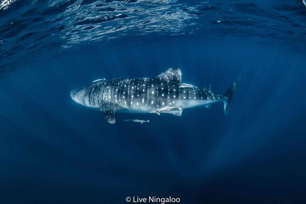 26d68302-a9a6-4683-9a2f-095e9f09af7e