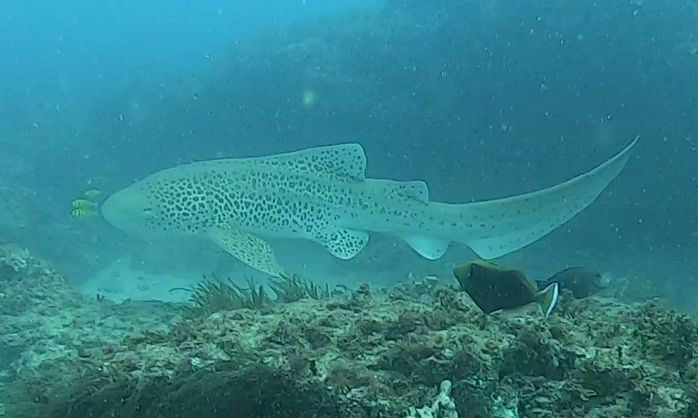 66f6fd12-ff47-421c-8e7b-0783771bec19