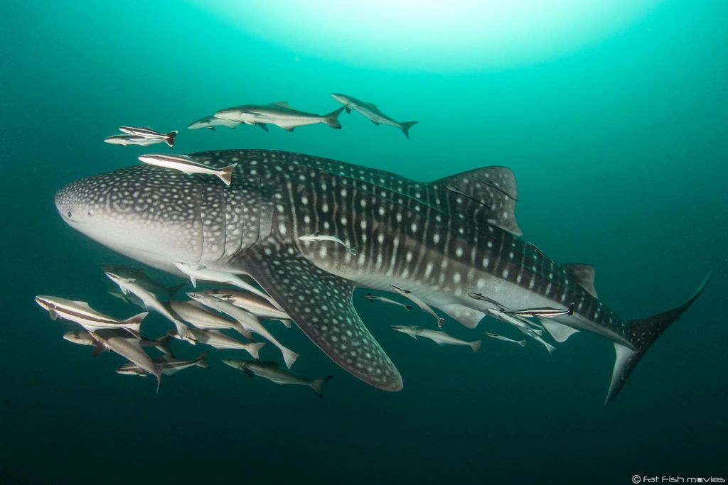 0fded214-577f-4b7f-b1a0-982ca1405b29