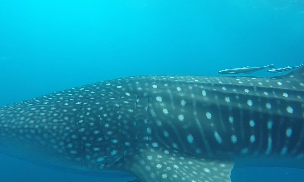 99b9a83a-639e-410b-b503-d4b2ee182b62