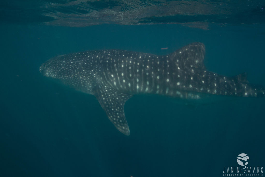 2dcb29f4-633f-459f-b845-937b32495a72