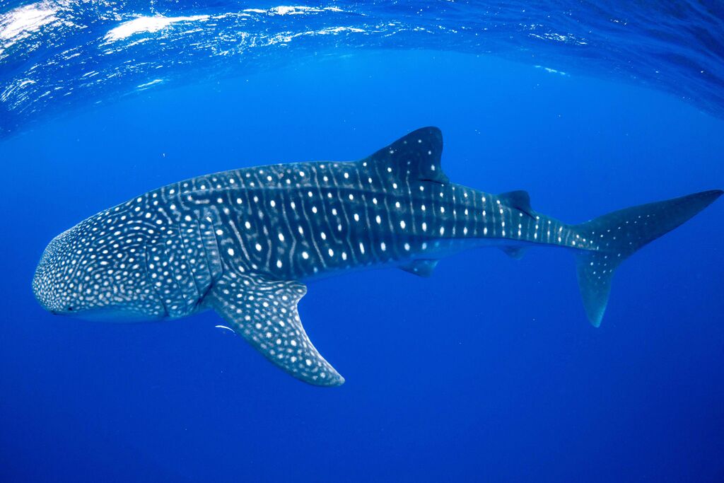 e124b722-8107-4f9a-85f5-c24ac6bcc27c