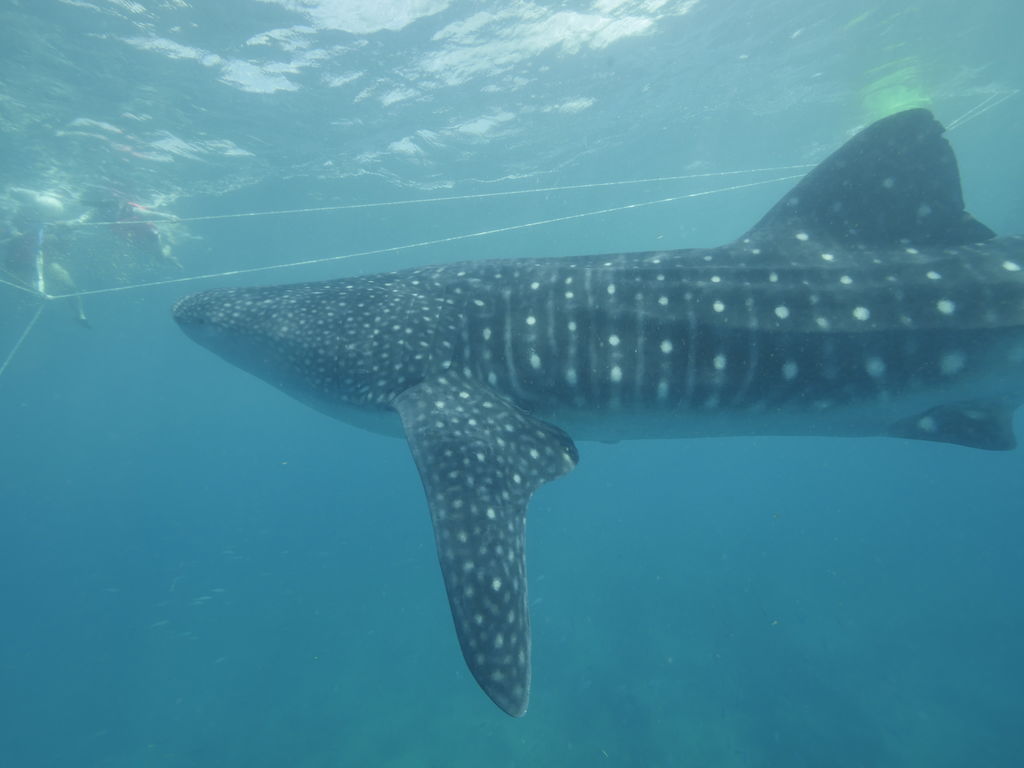 5a57ae01-a63a-42d8-a574-789c44d0c59a