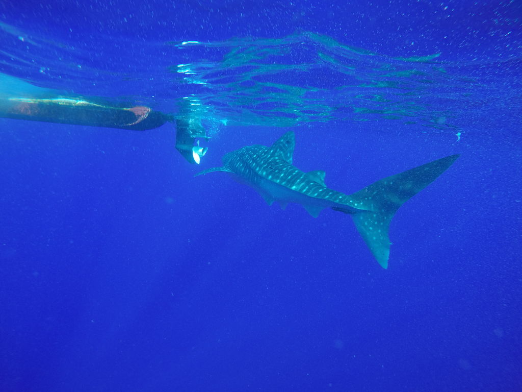 dc965002-c4bd-49a9-9dd5-72d4b1b6e3f0