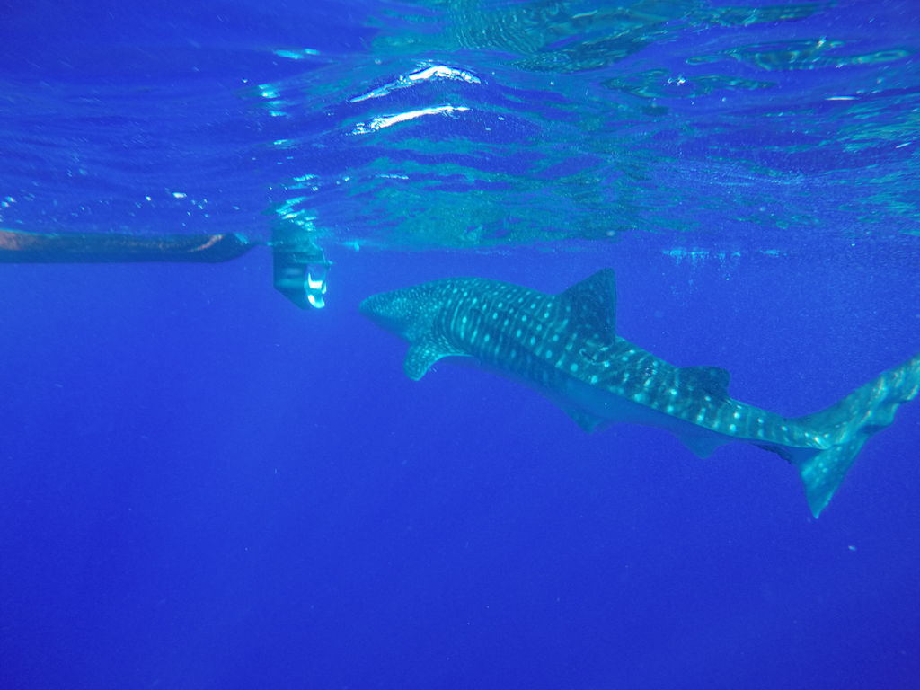 dc965002-c4bd-49a9-9dd5-72d4b1b6e3f0