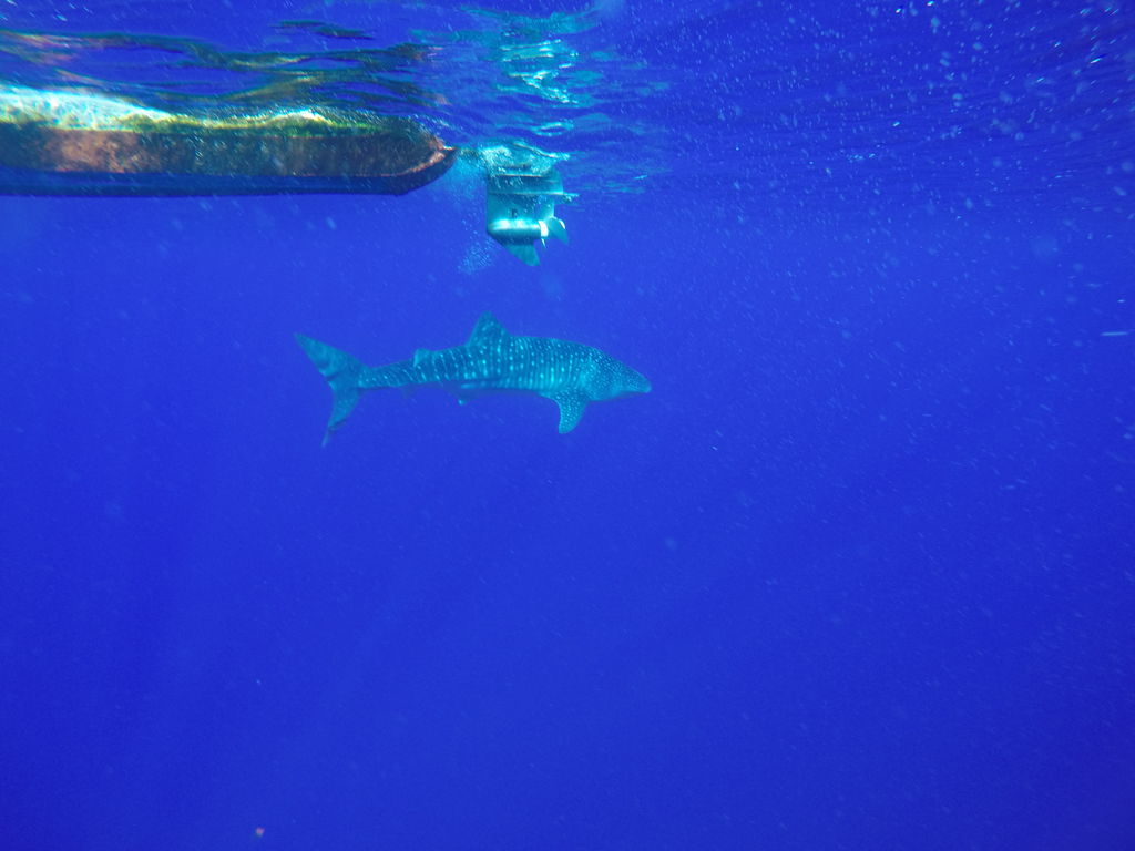 dc965002-c4bd-49a9-9dd5-72d4b1b6e3f0