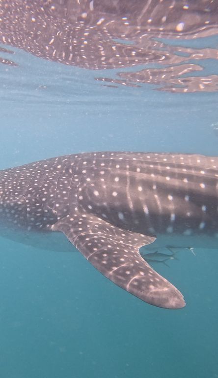 e12a9459-7afc-436c-a4ab-0f400b0b27e9