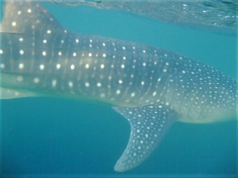 7128b96f-cc92-4f59-a6b4-47ed36b0f43f