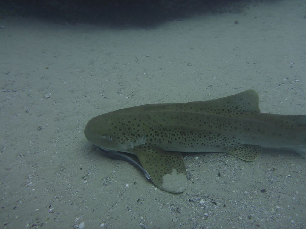 dcecbaeb-abf4-4ced-8ecf-e4fc618bc318